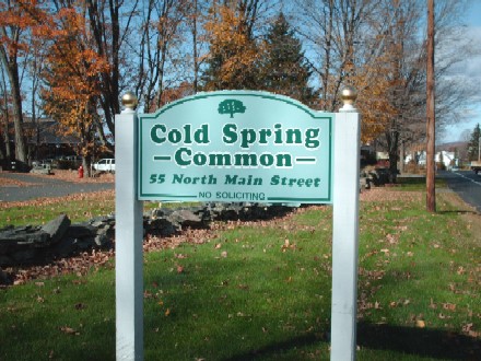 Cold Spring Common