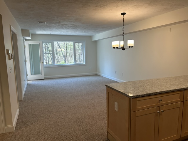 28 Green Leaves Drive #811Amherst